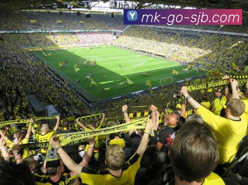 MK体育，MK体育官网，MK体育入口，MK体育APP，MK体育平台APP 封面图